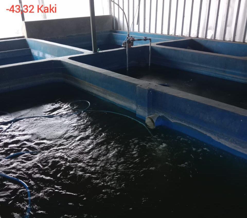 Bantahan Manajemen Pabrik KATAJI Cikijing Terkait Pemberitaan Limbah Produksi